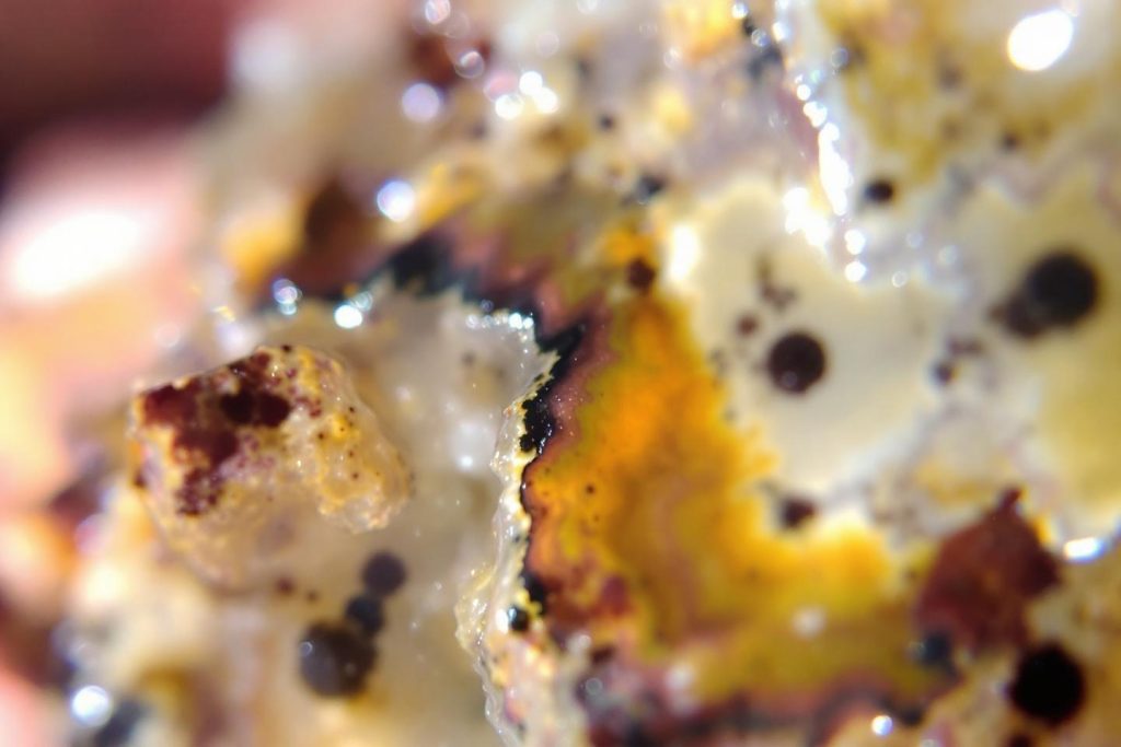 Texture organique jaune, blanche et brune avec des gouttes